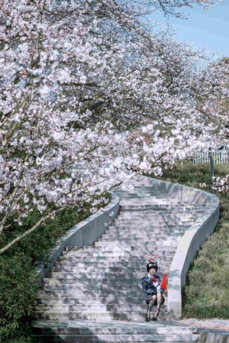 矢量鱼 – 椿导游